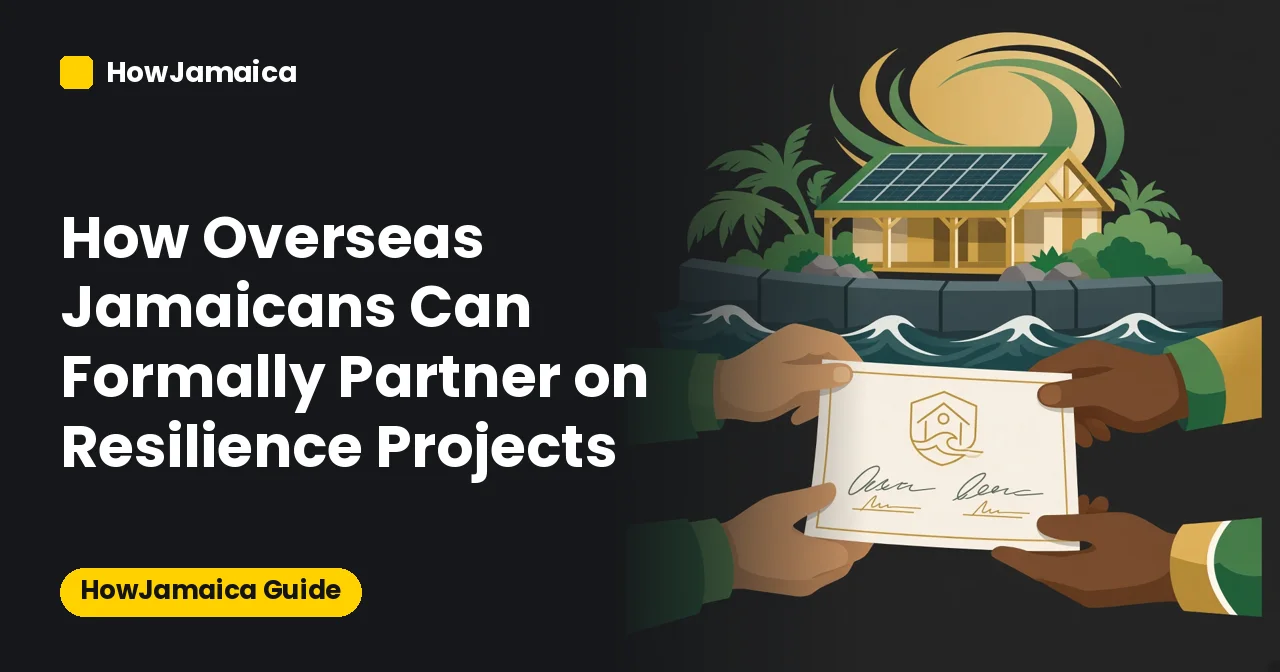 How Overseas Jamaicans Can Formally Partner on Resilience Projects