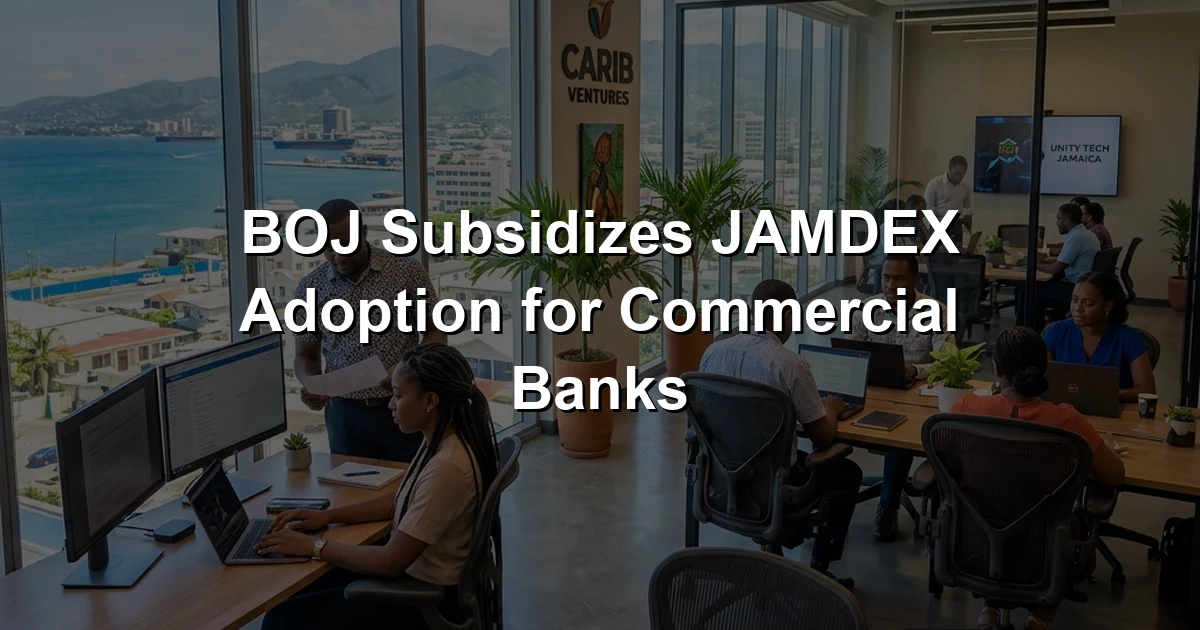 BOJ Subsidizes JAMDEX Adoption for Commercial Banks