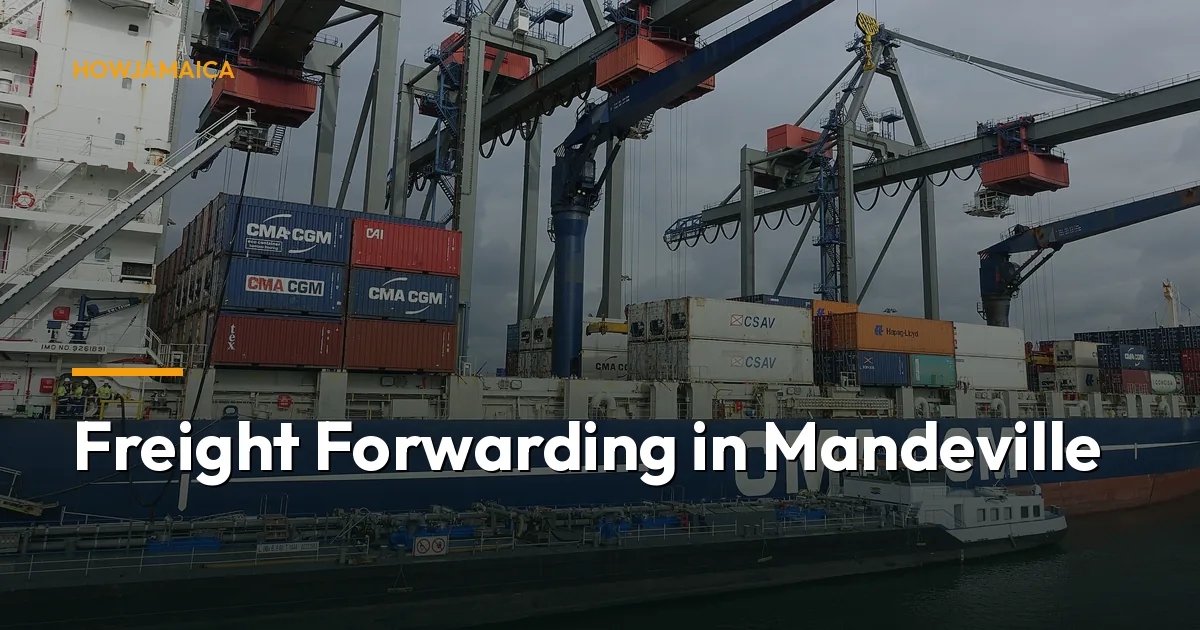 Freight Forwarding in Mandeville: Your 2026 Guide to Shipping ...