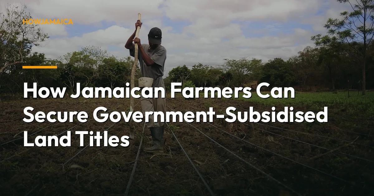 How Jamaican Farmers Can Secure Government-Subsidised Land Titles