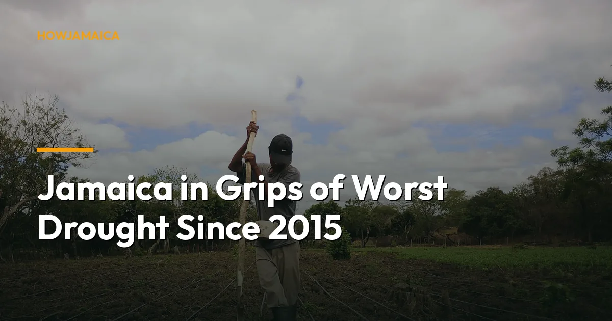 Jamaica in Grips of Worst Drought Since 2015