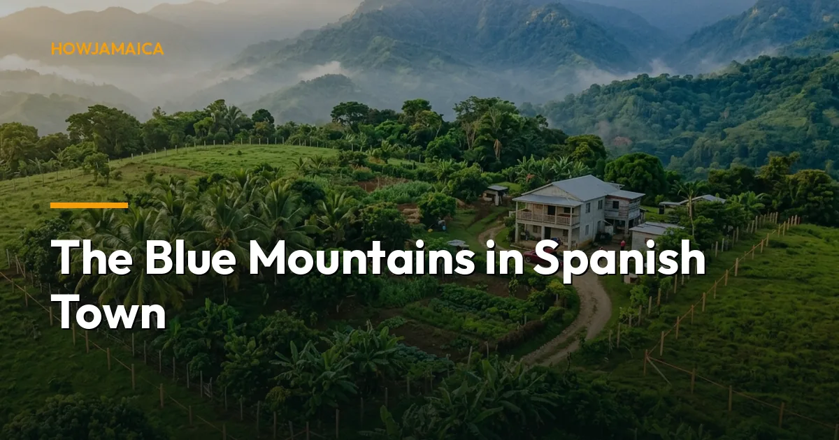 The Blue Mountains in Spanish Town: Your 2026 Guide to Jamaica...