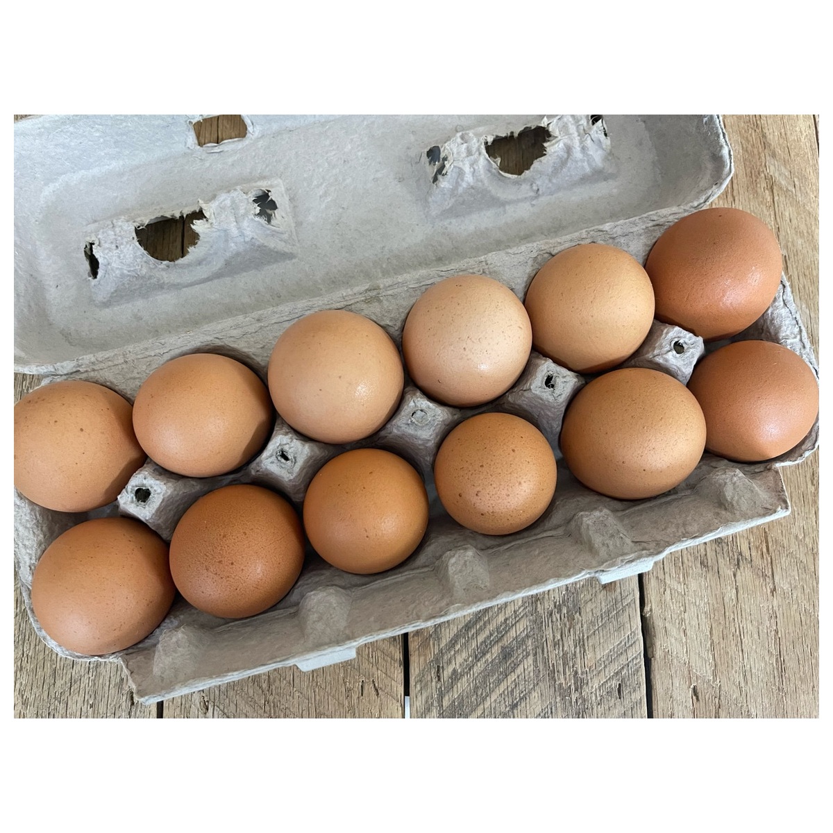 Fresh Farm Eggs (1 Dozen / 12 Pack)