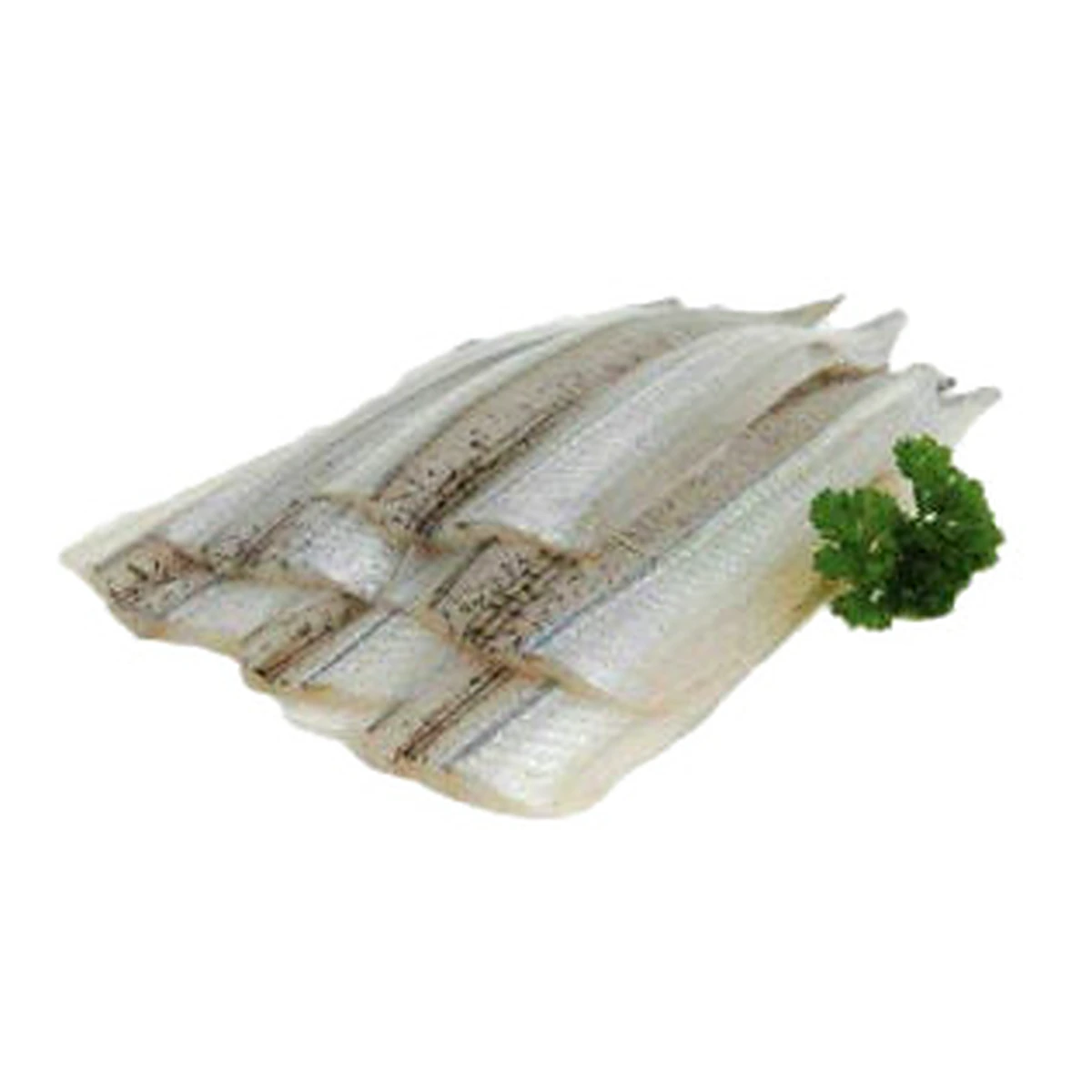 Bangamary Fillet - 1 Lb