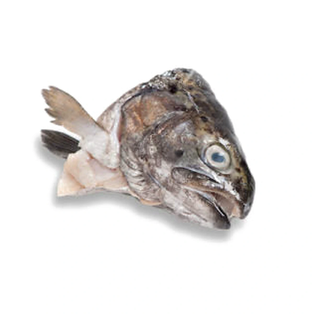 Fish Head - Trout - 2 Lb