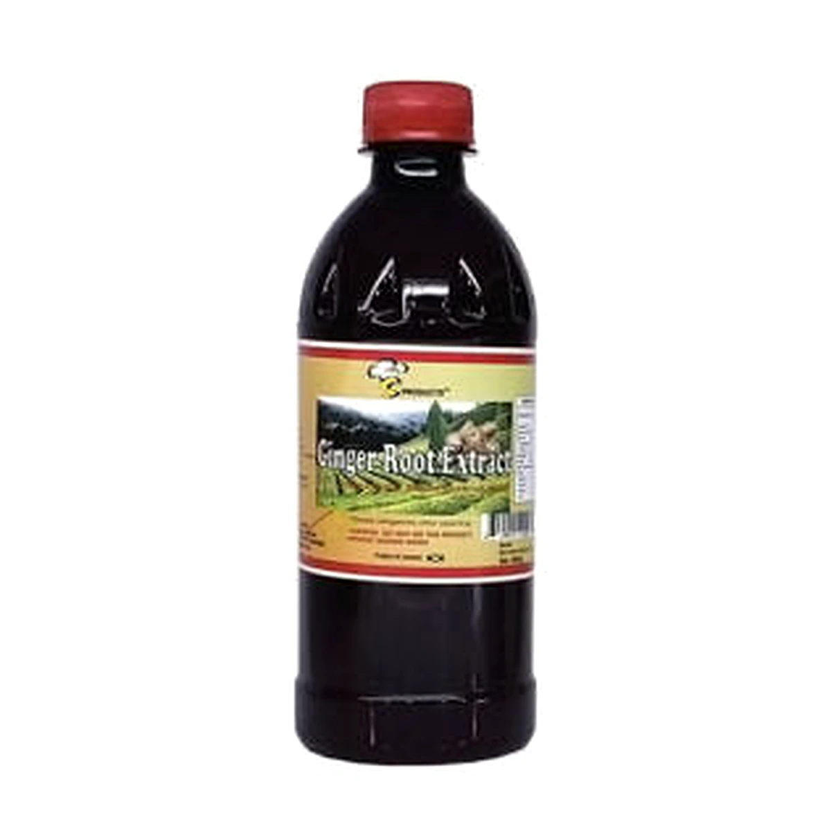 Ginger Root Extract 480ML