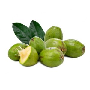 JUNE PLUM - 2 Lb
