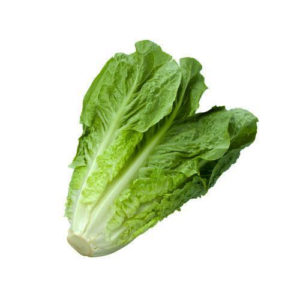 ROMAINE LETTUCE - 2 Lb