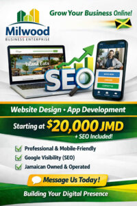 Affordable E-Commerce Website for Small Business in Jamaica