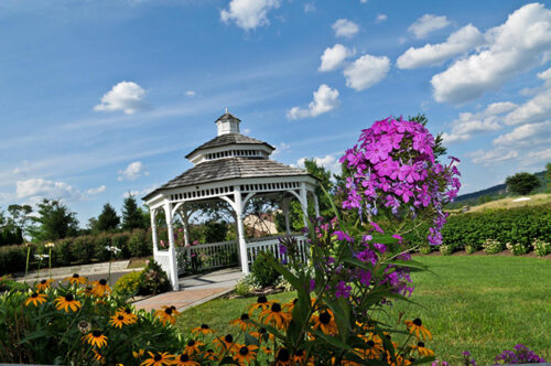 Affordable Wedding Venues in St. Andrew, Jamaica