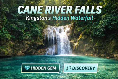 Cane River Falls Jamaica | Hidden Waterfall Near Kingston