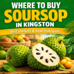 Where to Buy Fresh Soursop in Kingston Jamaica (Best Markets & Tips)