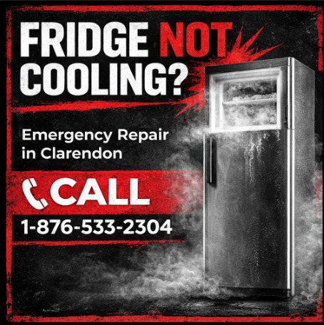Emergency Refrigerator Repair Clarendon – Fast Fridge Fix Service You Can Call Right Now
