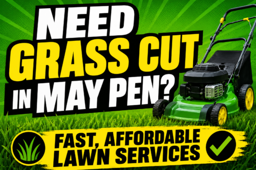 Grass Cutting Service May Pen Clarendon Jamaica (2026 Guide & Prices)